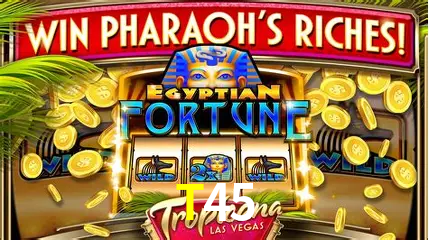 Live Casino T45