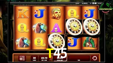 VIP Casino T45